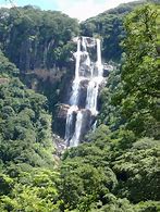 Udzungwa Mountains